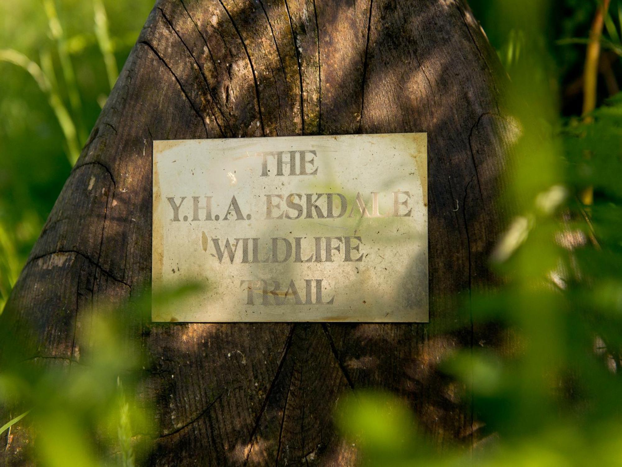 Yha Eskdaleホステル エクステリア 写真